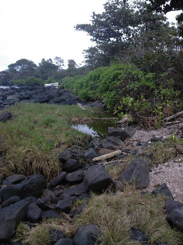 gal/Ile Maurice/SP_A0334_Tamarin_Hotel.jpg